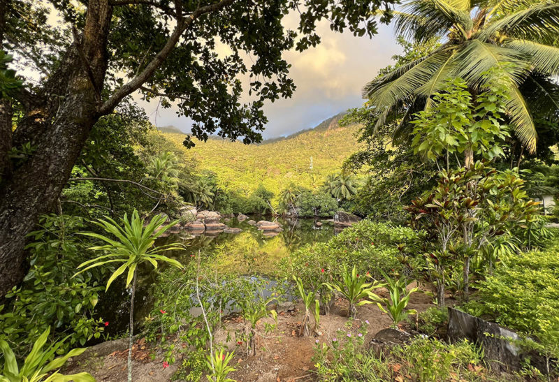 Seychelles, Silhouette, Mangrove et jungles