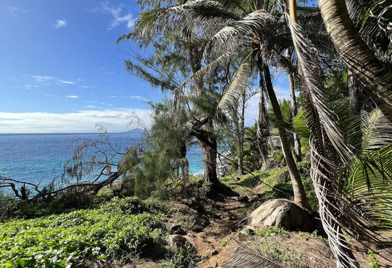 Seychelles, Silhouette, sentier de randonnée le long de la mer