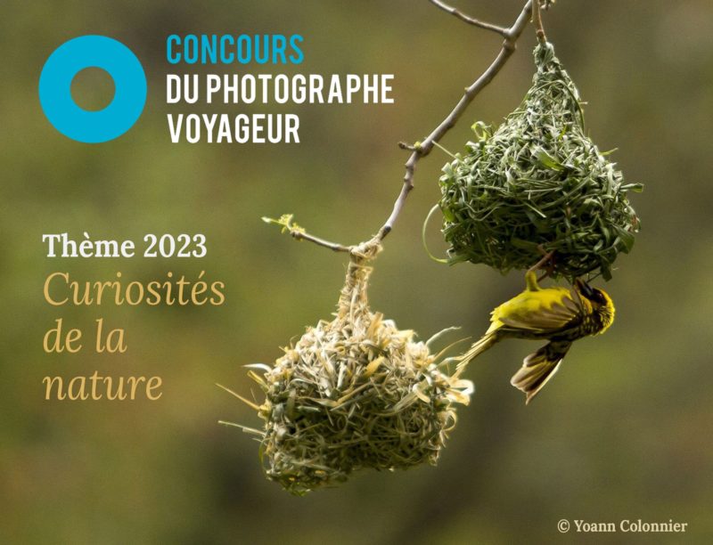 curiosite-de-la-nature