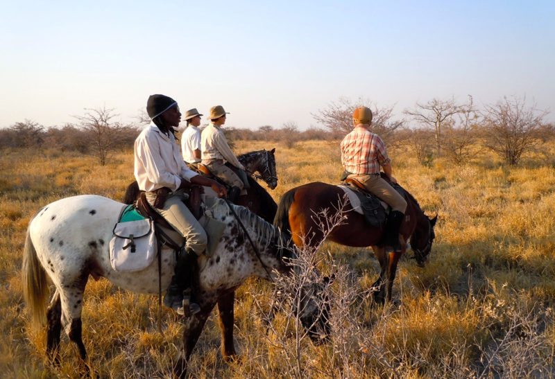 Botswana, quatre chevaux, randonnée à cheval