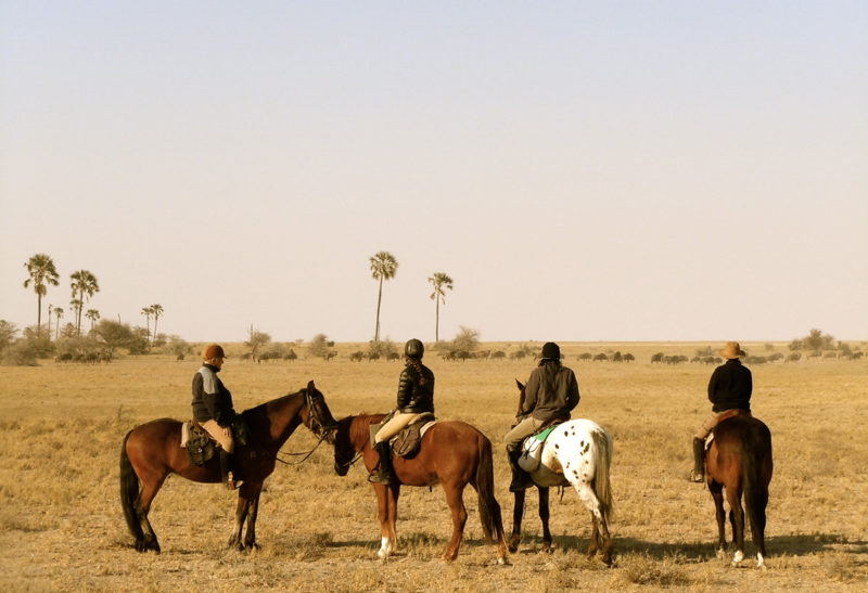 Botswana, quatre chevaux, randonnée à cheval
