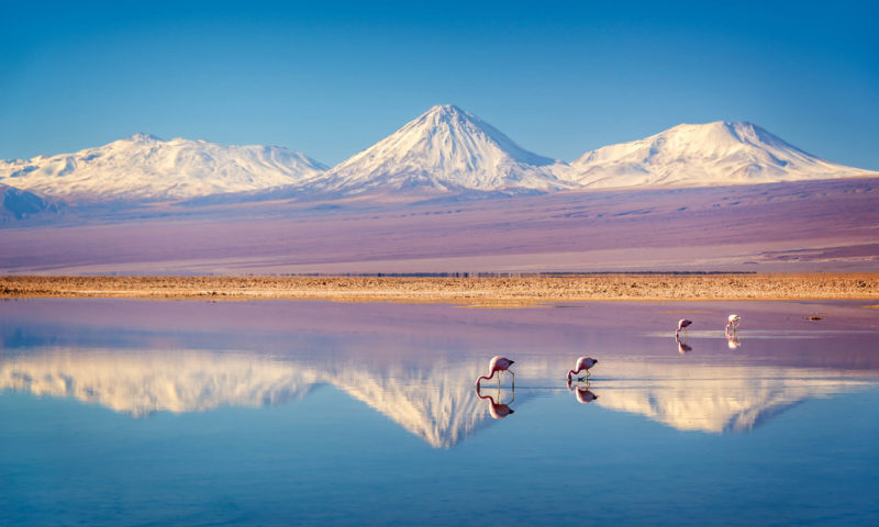 Snowy,Licancabur,Volcano,In,Andes,Montains,Reflecting,In,The,Wate