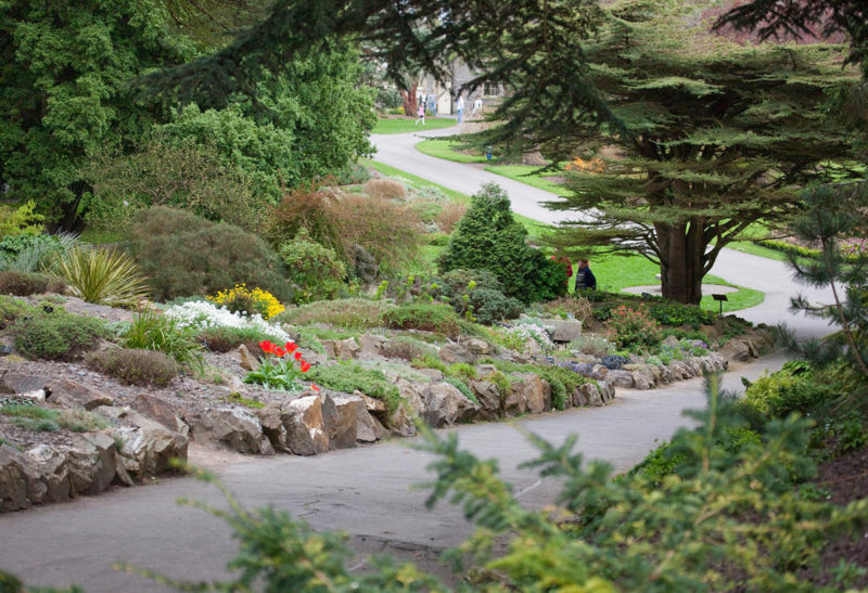 irlande-jardin-botanique-dublin