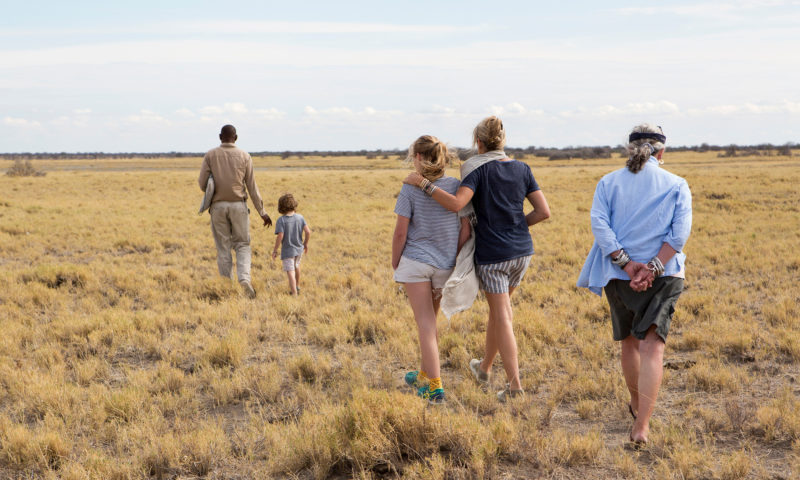 Safari, une famille marche dans la brousse Safari, une famille marche dans la brousse