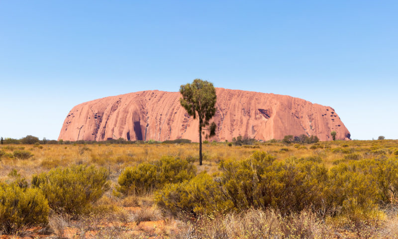 En pleine jungle luxuriante, sentir l’odeur du sol humide et d’une végétation exotique… Chercher l’horizon sans fin dans de vastes plaines ensablées… Laissez la nature, omniprésente et maîtresse en tous lieux, devenir le cœur de votre prochain voyage !