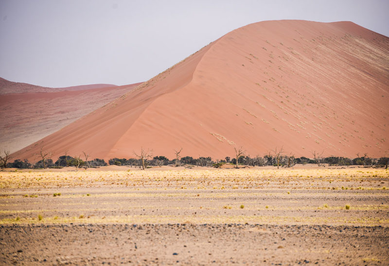 Namibie, dunes de Sossusvlei