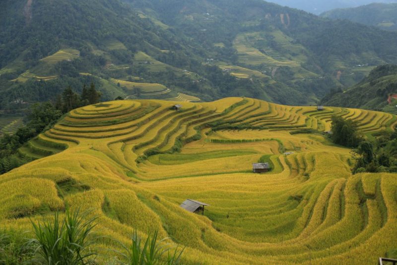 Hoang-Su-Phi-vietnam