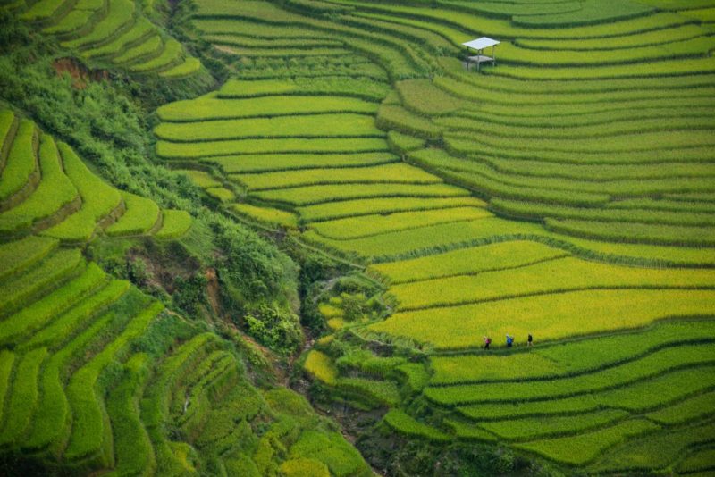 col-Khau-Pha-vietnam