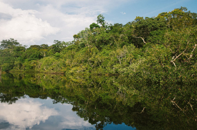 fleuve-foret-amazonie-bresil