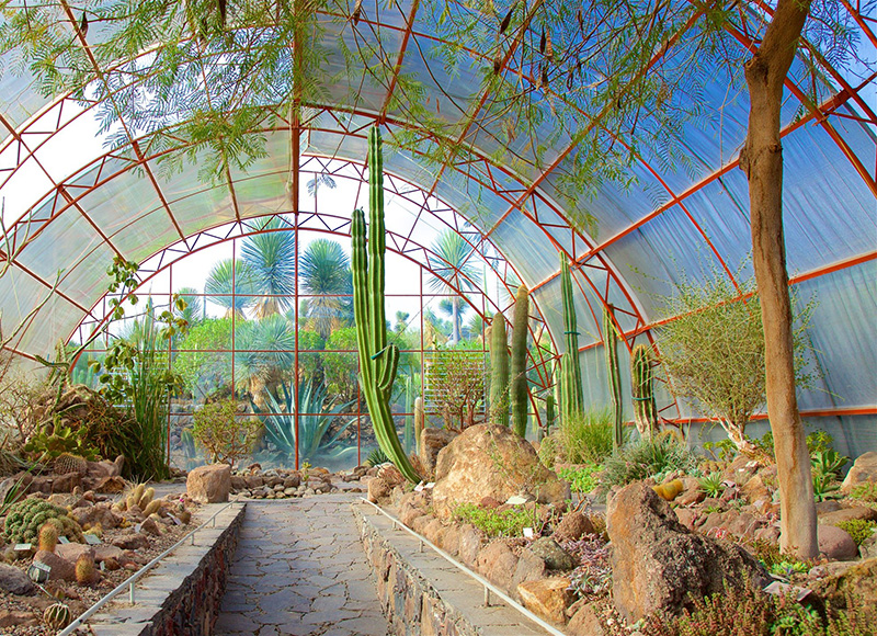 jardin botanique El Charco del Ingenio