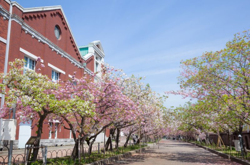 Mint-Museum-oska-japon