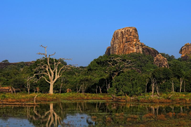 Parc-National-de-Yala-Sri-Lanka