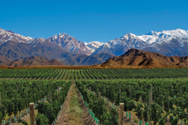 mendoza