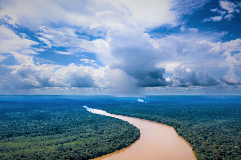 Croisi re In dite Le Long Du Bassin Du Congo Au Tigre Vanill croisi-re-in-dite-le-long-du-bassin-du-congo-au-tigre-vanill