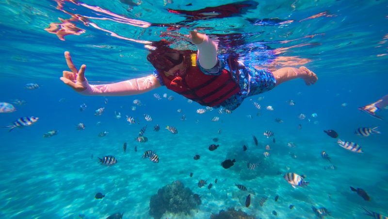betty-sun-vHwXbVAGfRU-unsplash Snorkeling Raja Ampat Indonésie