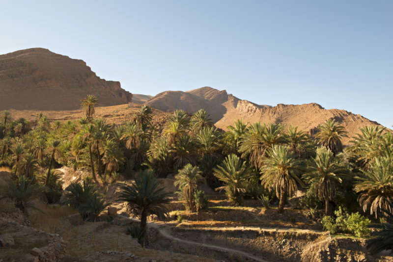 Memory Road au Maroc