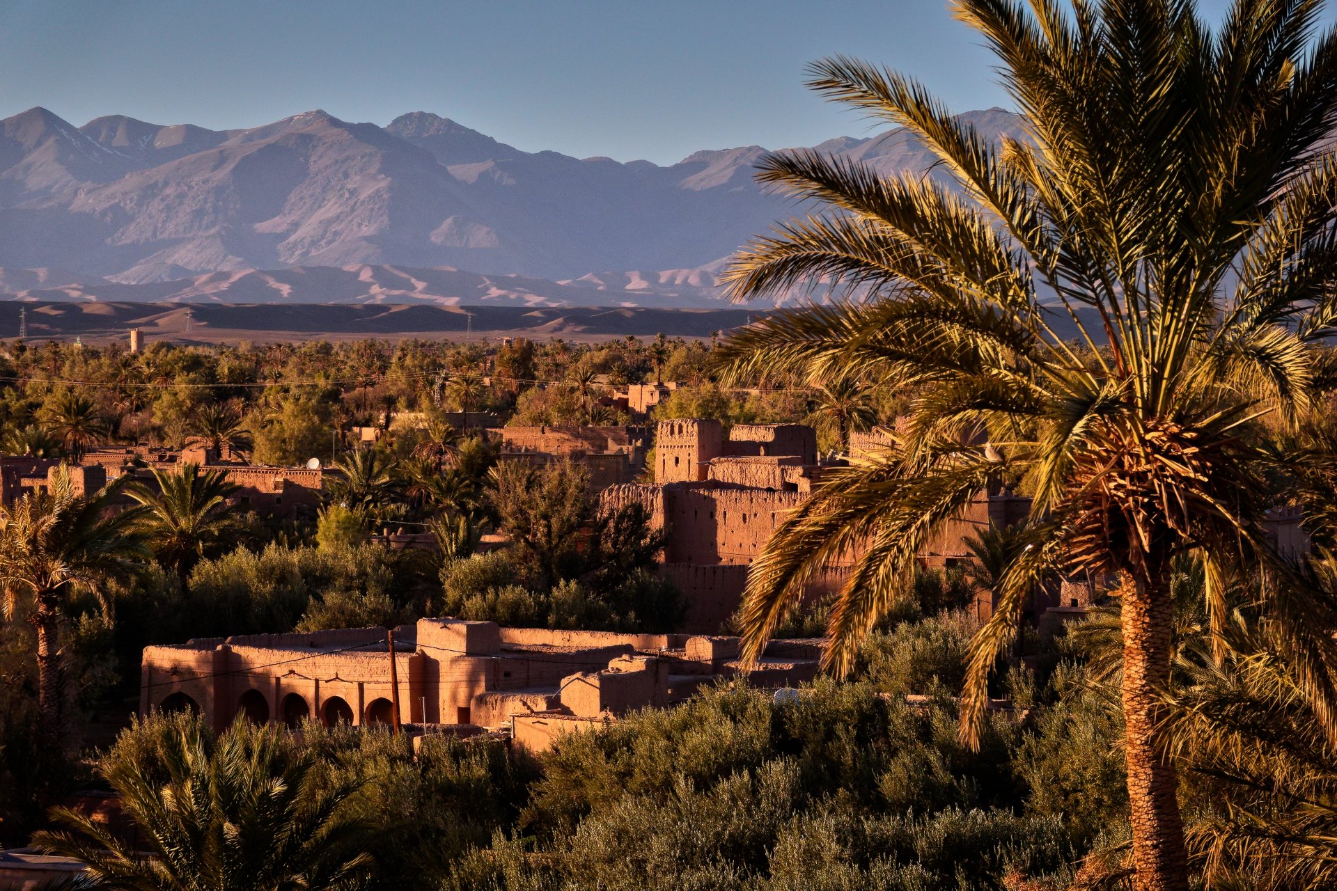 La Palmeraie de Skoura au Maroc