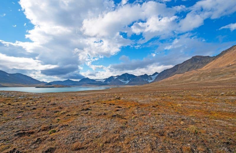 Mountains,And,Ocean,In,The,High,Arctic,Tundra,In,Varsolbukta,
