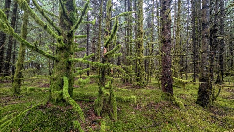 Olympic National Park USA