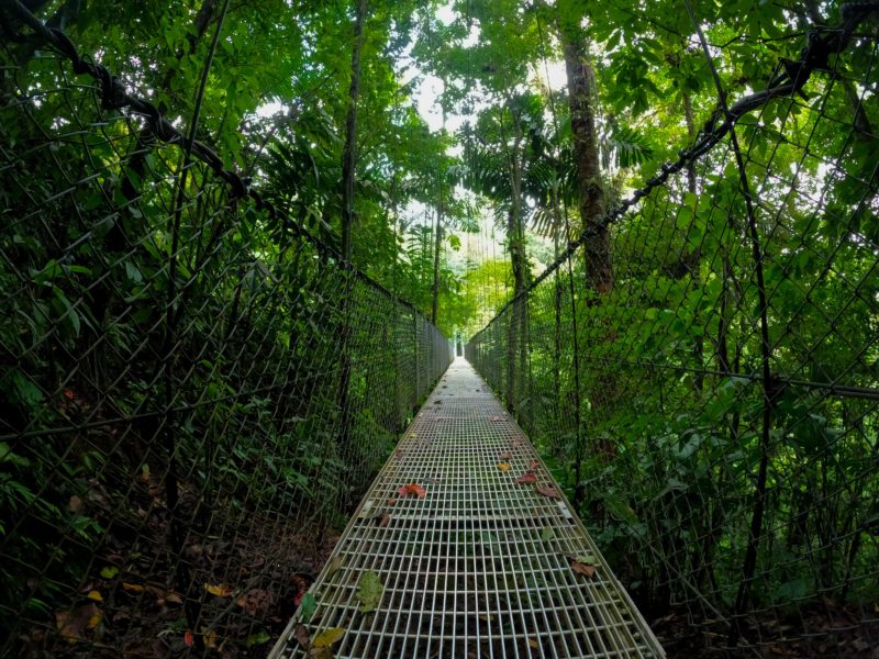 Monteverde